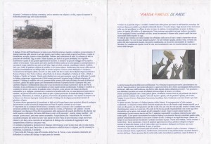 CONCORSO PASSAPAROLE DI PACE EDIZIONE 2004  2005 (545)